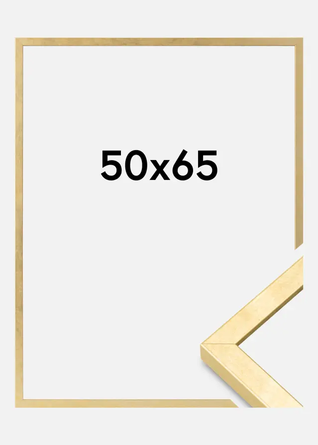 Ramme Ares Akrylglass Gull 50x65 cm