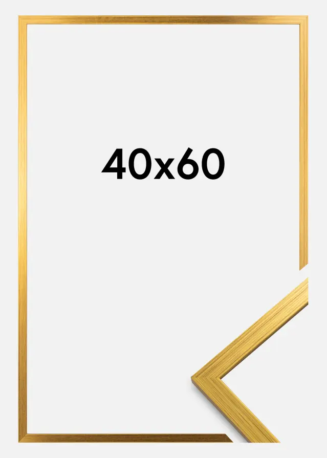 Ramme Edsbyn Akrylglass Gull 40x60 cm