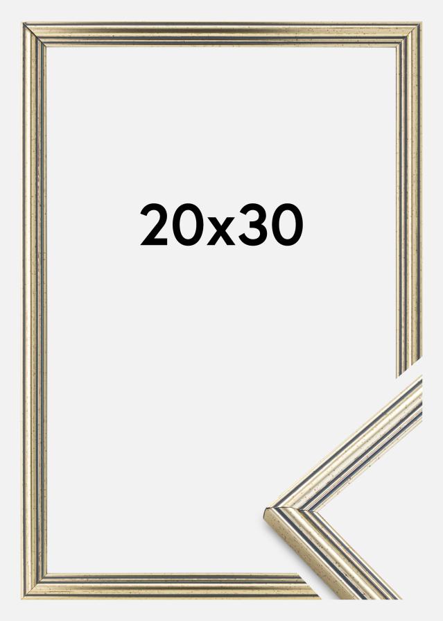 Ramme Classic Sølv 20x30 cm