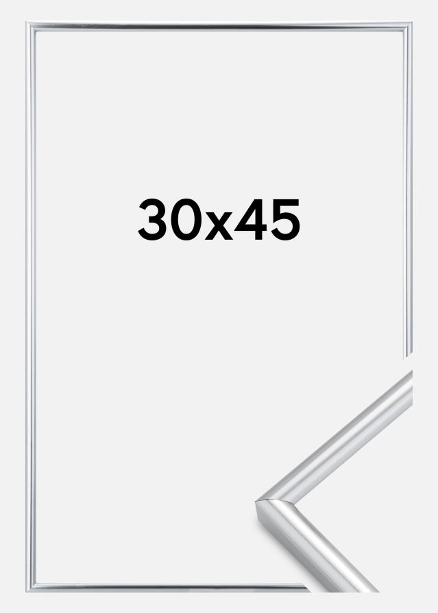 Ramme Galeria Sølv 30x45 cm