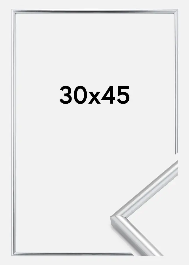 Ramme Galeria Sølv 30x45 cm
