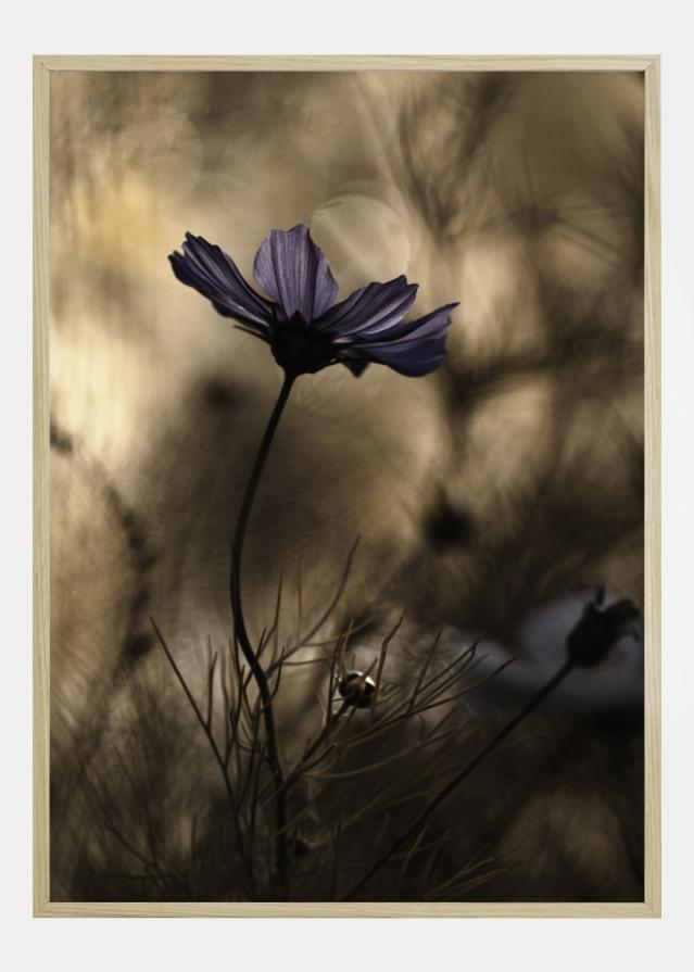 The Dancing Queen Plakat