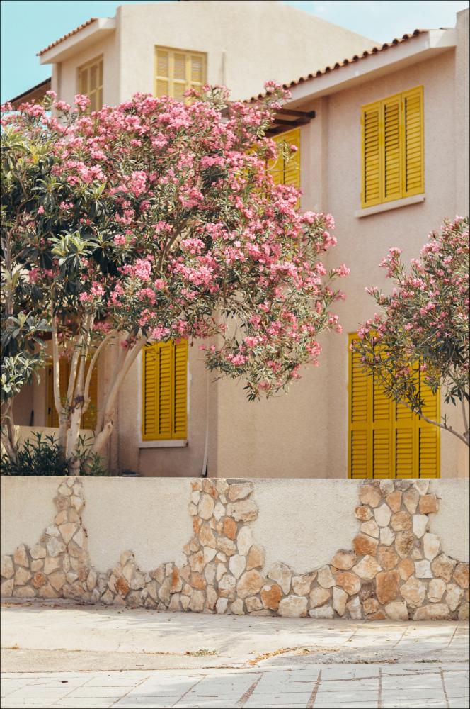 Bloom Village Plakat