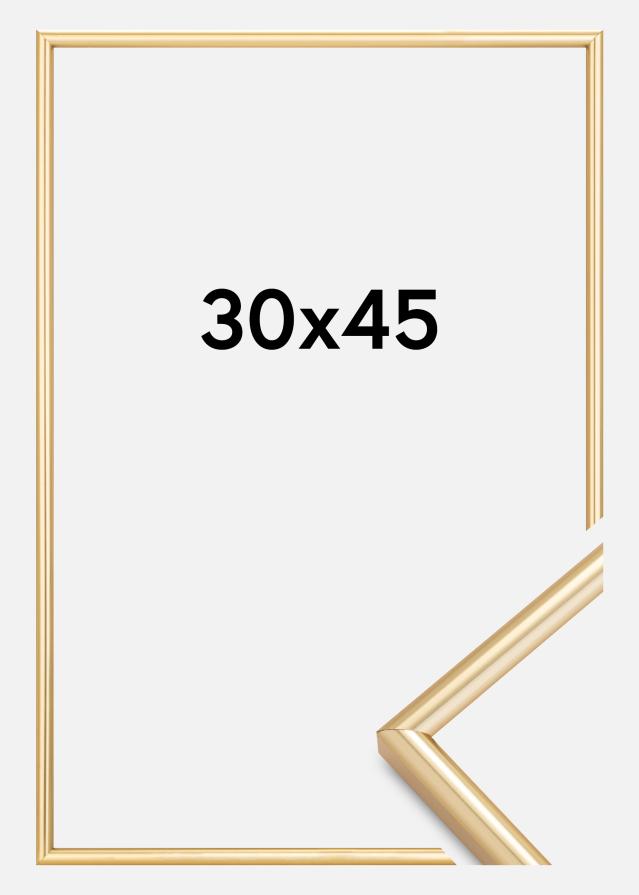 Ramme Galeria Gull 30x45 cm