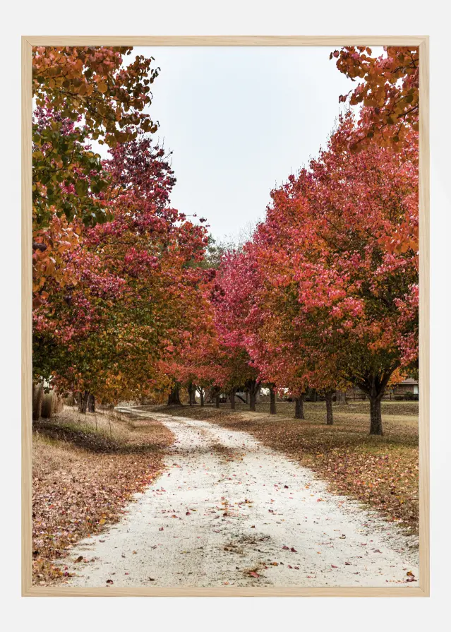 Autum Road Plakat