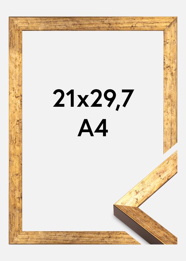 Ramme Dune Akrylglass Gull 21x29,7 cm (A4)