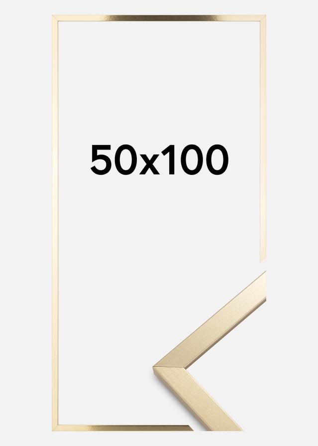 Ramme Trendy Akrylglass Gull 50x100 cm