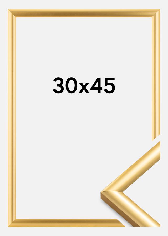 Ramme Trendstyle Gull 30x45 cm