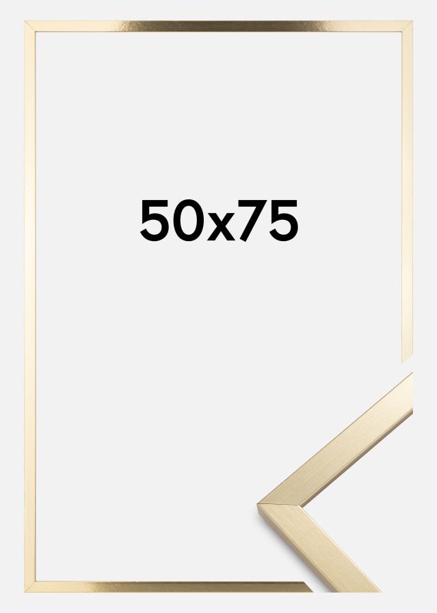 Ramme Trendy Akrylglass Gull 50x75 cm