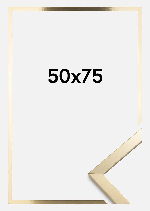 Ramme Trendy Akrylglass Gull 50x75 cm