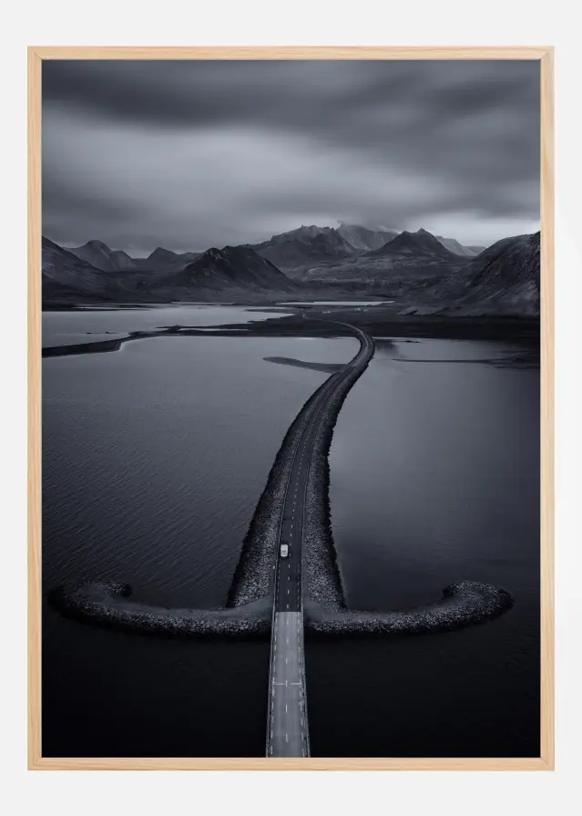 The Protected Land Plakat