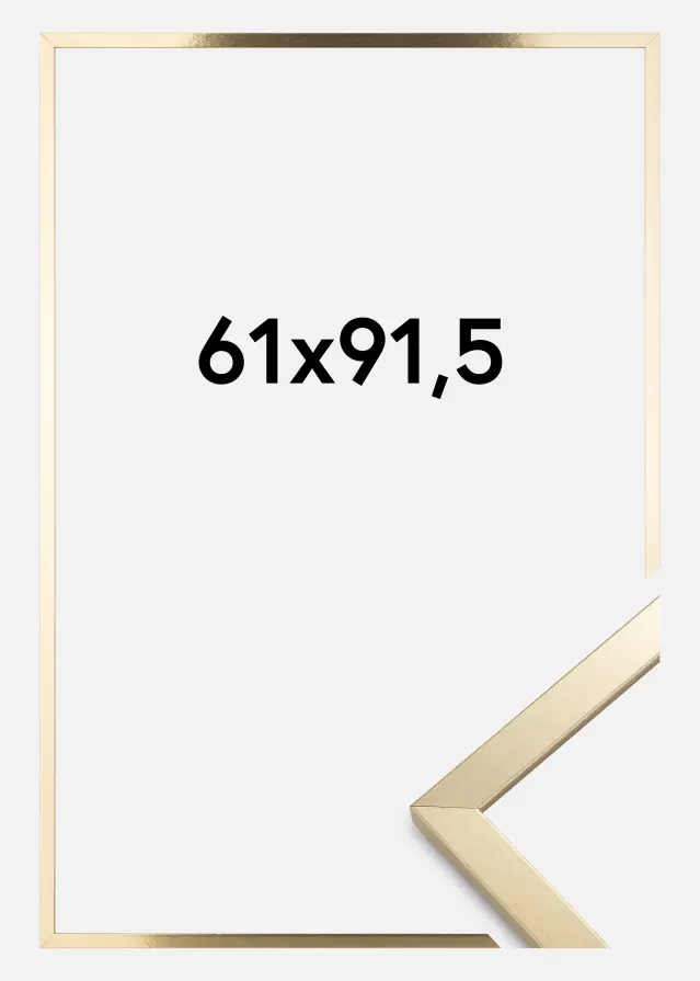 Ramme Trendy Akrylglass Gull 61x91,5 cm