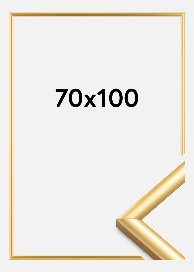 Ramme Trendstyle Gull 70x100 cm