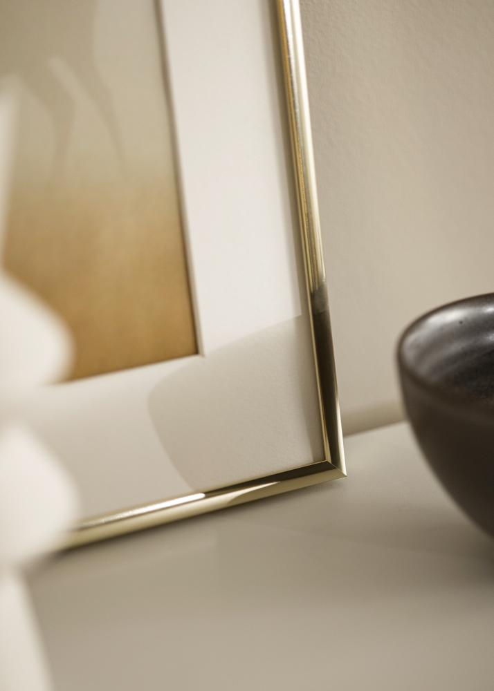 Ramme Aluminium Akrylglass Blank Gull 40x50 cm