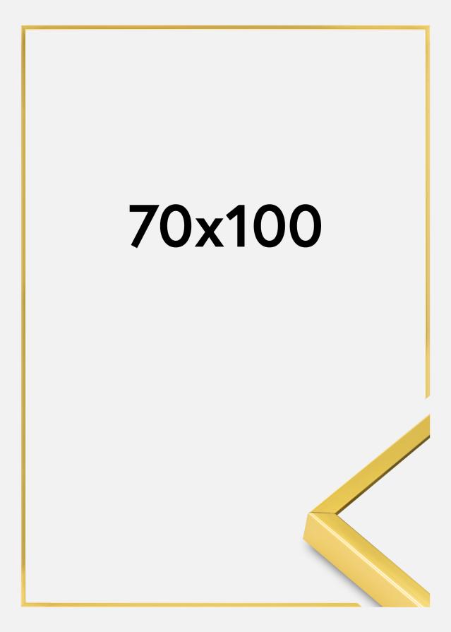 Aluminiumsramme Akrylglass Gull 70x100 cm