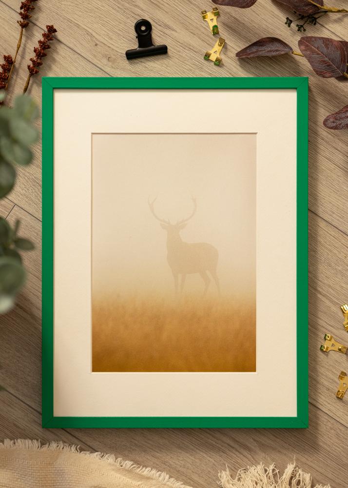 Colorful Akrylglass Grønn 42x59,4 cm (A2)