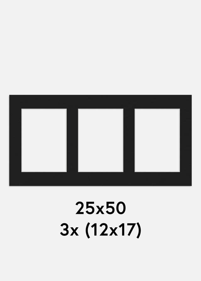 Passepartout Svart 25x50 cm - Collage 3 Bilder (12x17 cm)