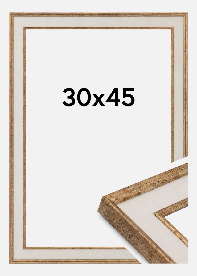 Ramme Dolly Akrylglass Gull 30x45 cm