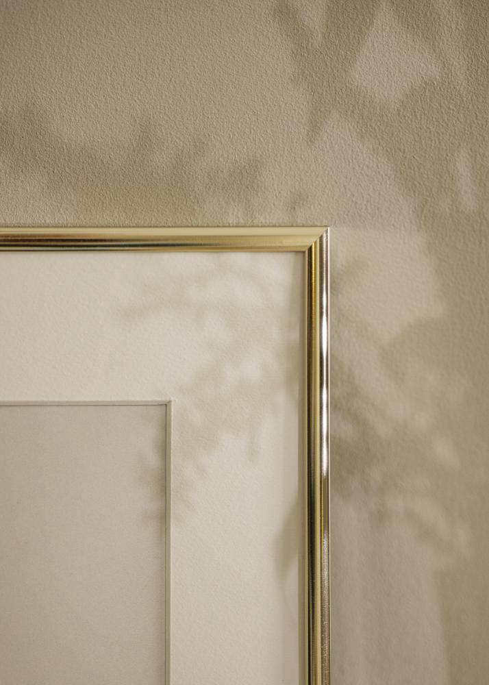 Ramme Aluminium Akrylglass Blank Gull 40x50 cm