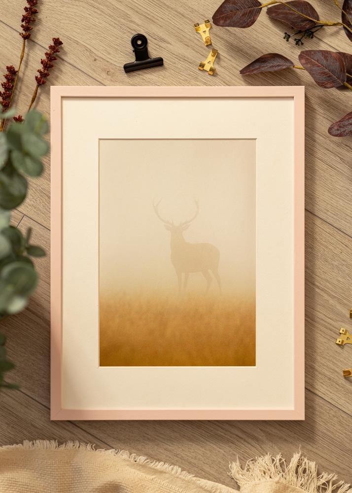 Colorful Akrylglass Rosa 60x80 cm