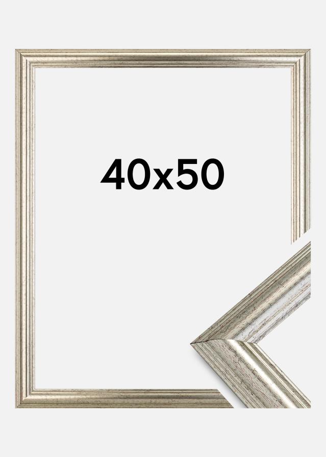 Ramme Västkusten Sølv 40x50 cm