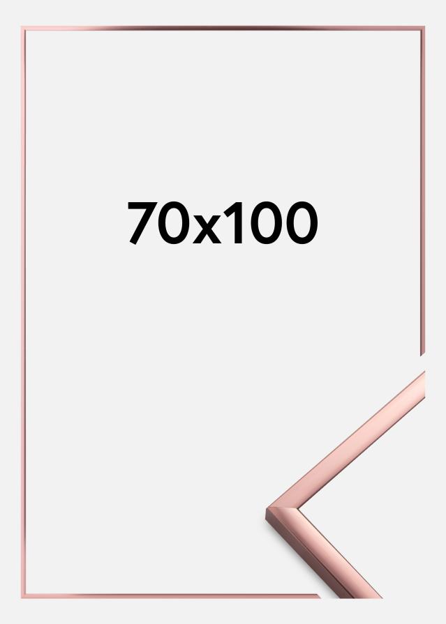 Ramme Poster Aluminum Akrylglass Roségull 70x100 cm