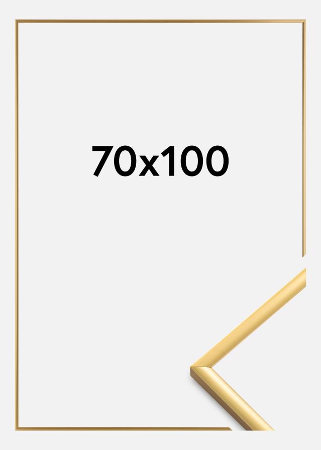 Ramme New Lifestyle Akrylglass Shiny Gold 70x100 cm