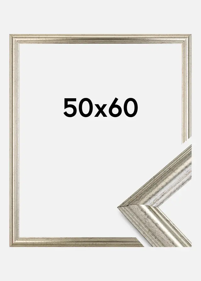 Ramme Västkusten Akrylglass Sølv 50x60 cm