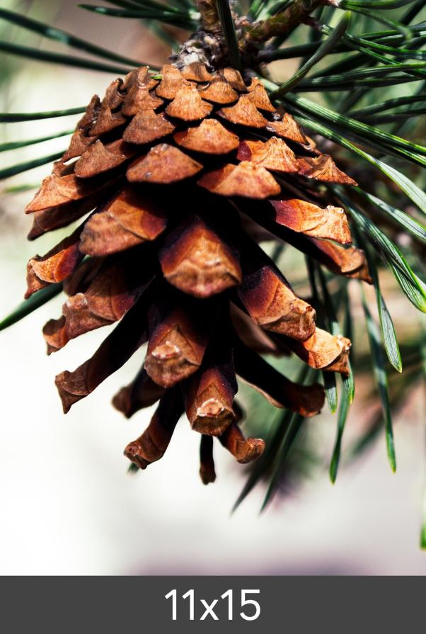 Forstørrelse FineArt Bamboo 290 g