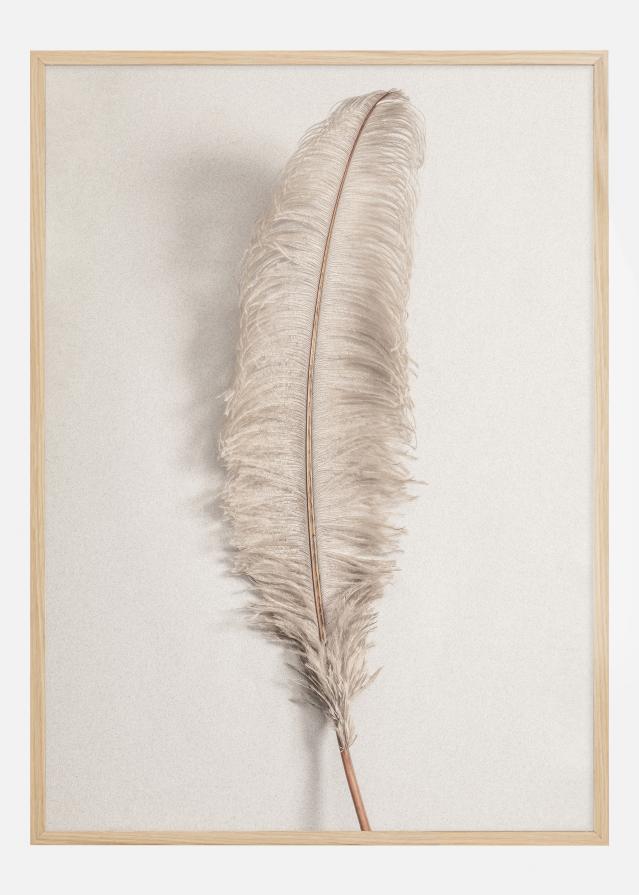 Feather 002 Plakat