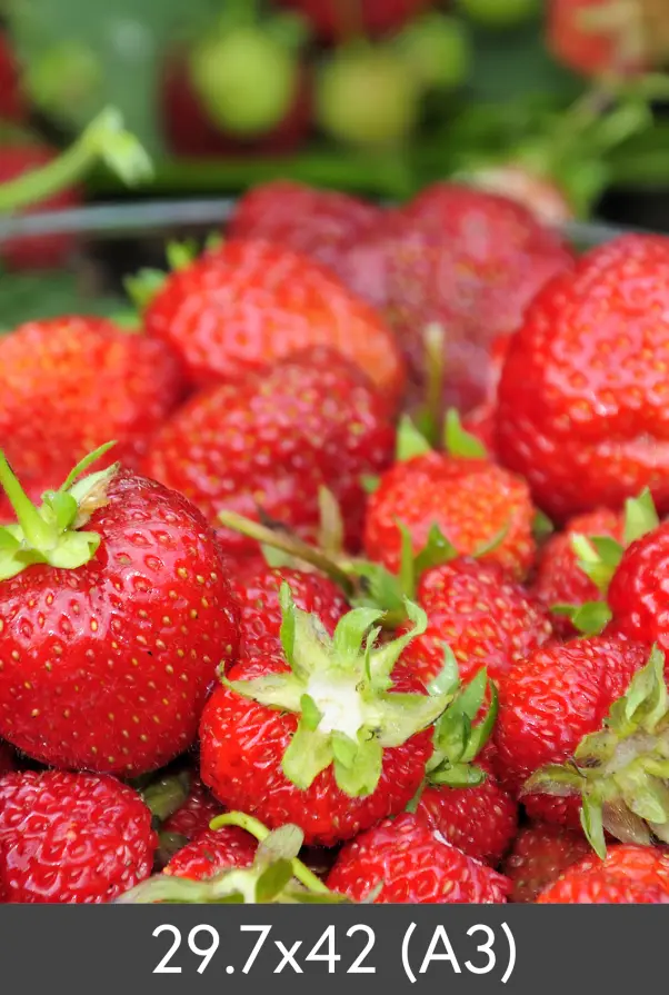 Forstørrelse FineArt Photo Glossy 290 g