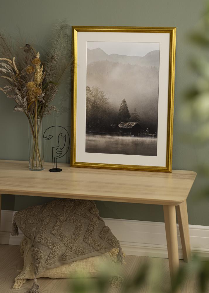 Ramme Västkusten Akrylglass Gull 34x42 cm