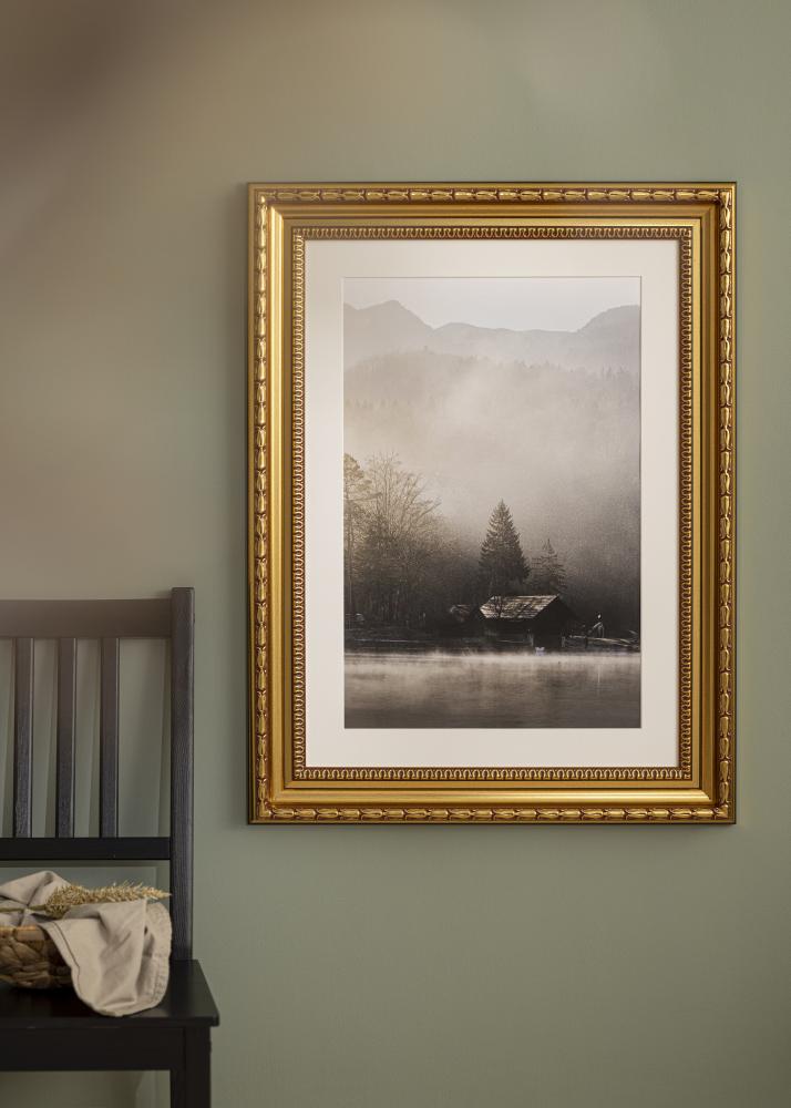 Ramme Birka Premium Gull 70x70 cm