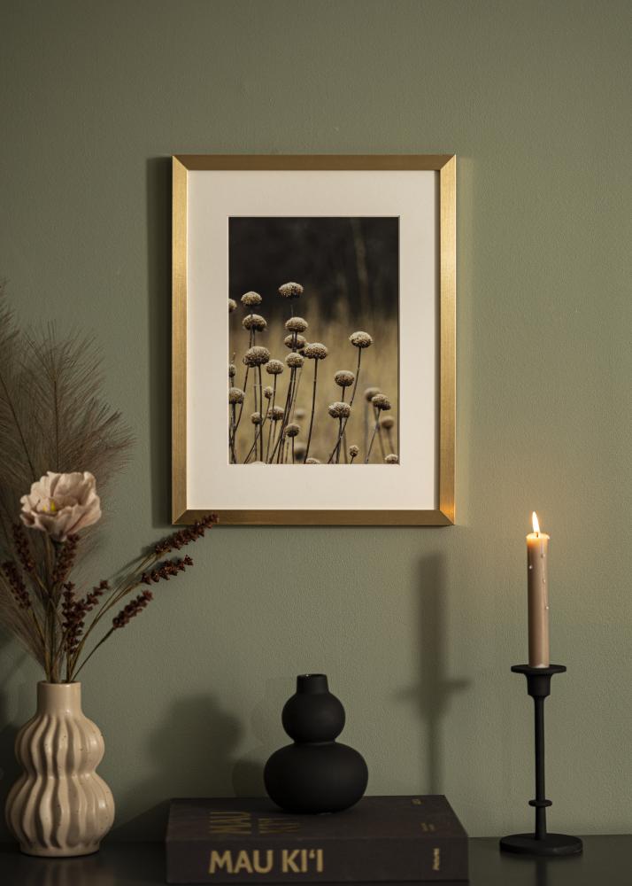 Ramme Selection Akrylglass Gull 30x40 cm