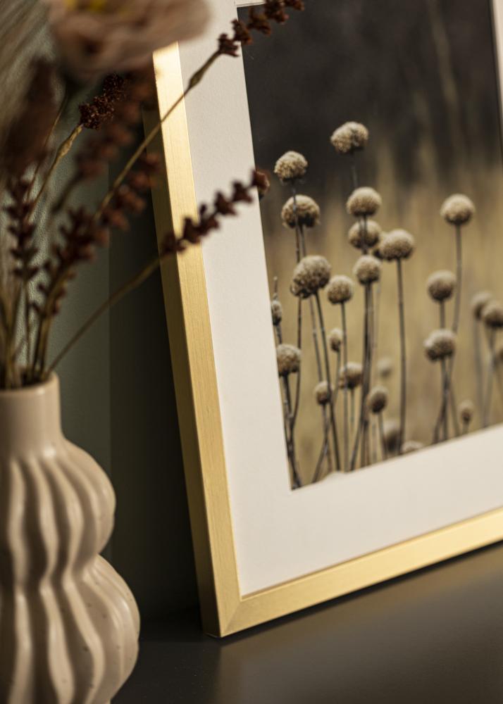 Ramme Selection Akrylglass Gull 30x40 cm