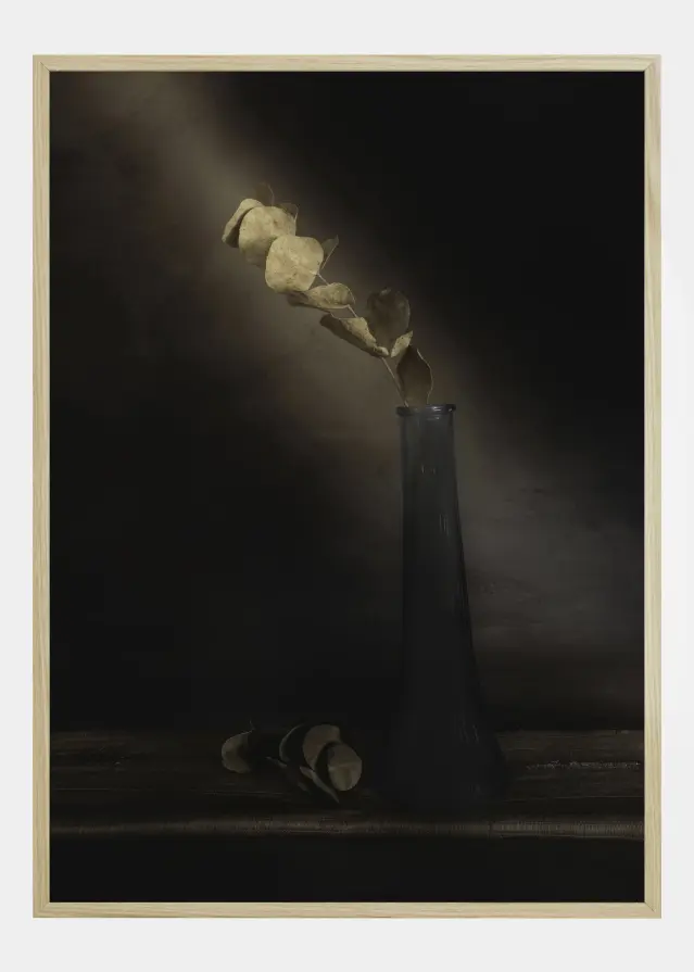 Partially Lighted Plakat