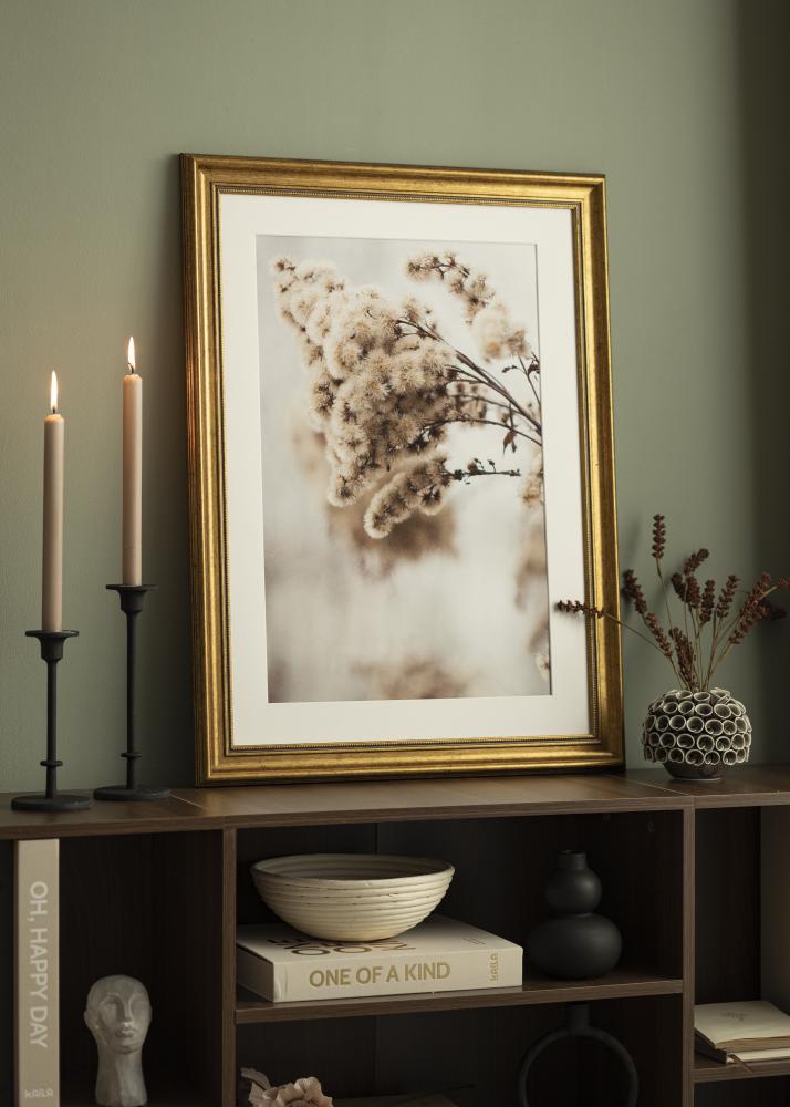 Ramme Rokoko Akrylglass Gull 40x60 cm