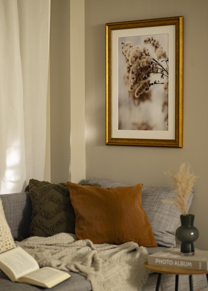 Ramme Rokoko Akrylglass Gull 40x60 cm