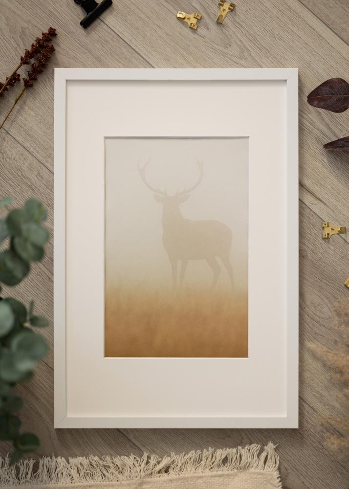 Ramme Modern Akrylglass Hvit 30x45 cm