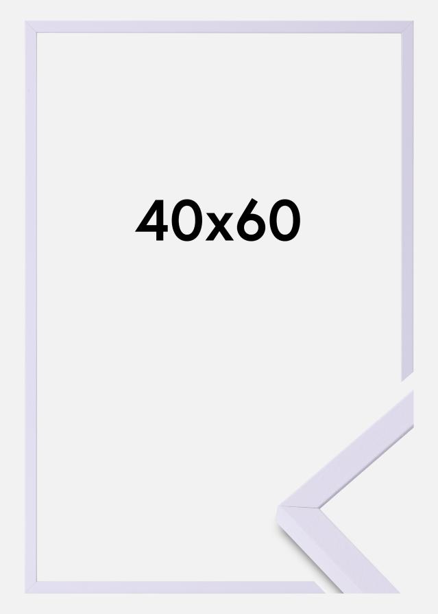 Colorful Akrylglass Lilla 40x60 cm