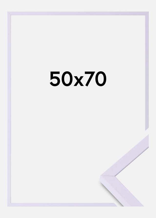 Colorful Akrylglass Lilla 50x70 cm