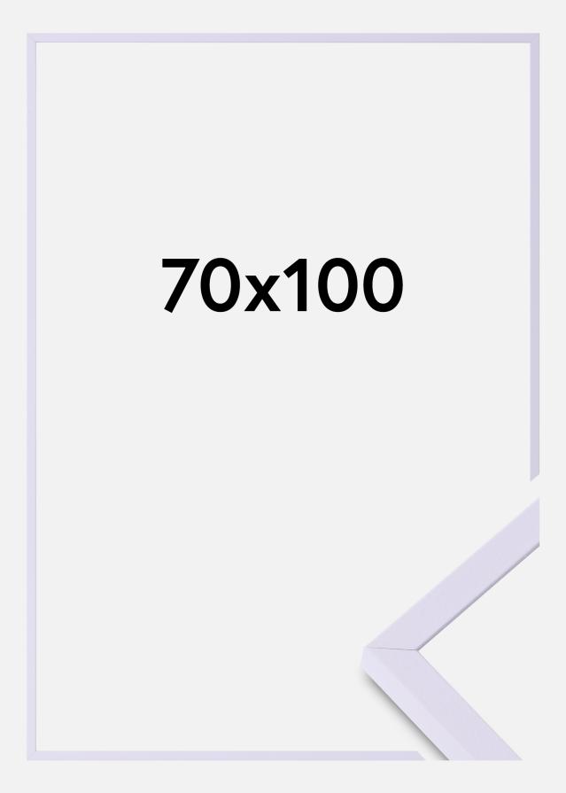 Colorful Akrylglass Lilla 70x100 cm