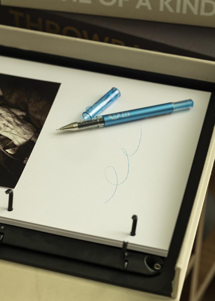 Pilot Albumpenn Blå