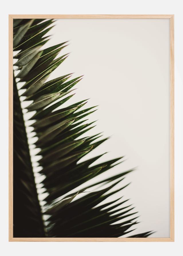 Palm Branches Plakat