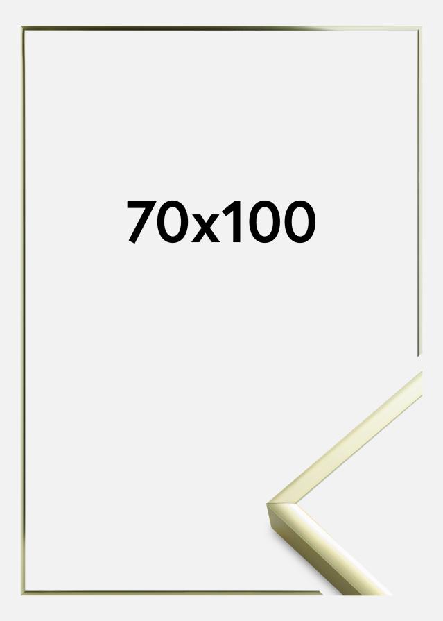 Ramme Poster Aluminum Akrylglass Gold 70x100 cm