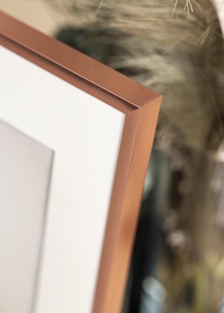 Ramme Poster Aluminum Akrylglass Roségull 70x100 cm