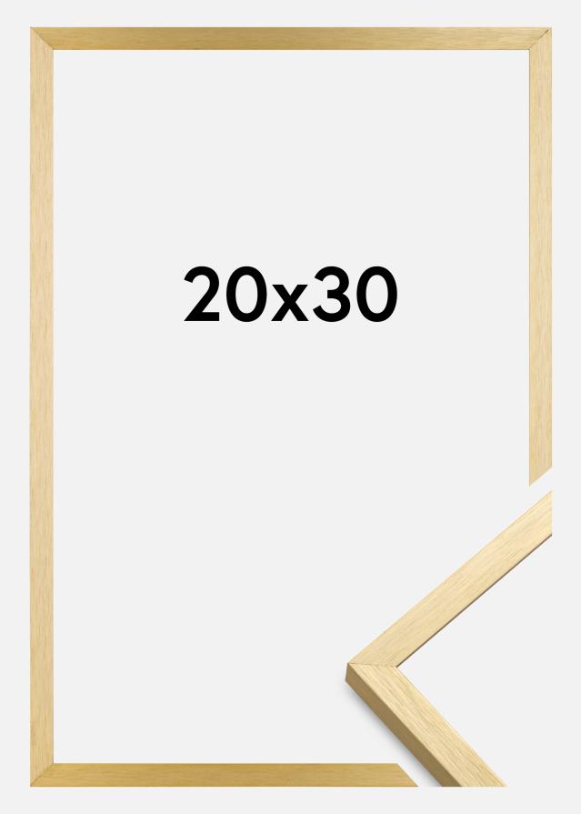 Ramme Chair Gull 20x30 cm