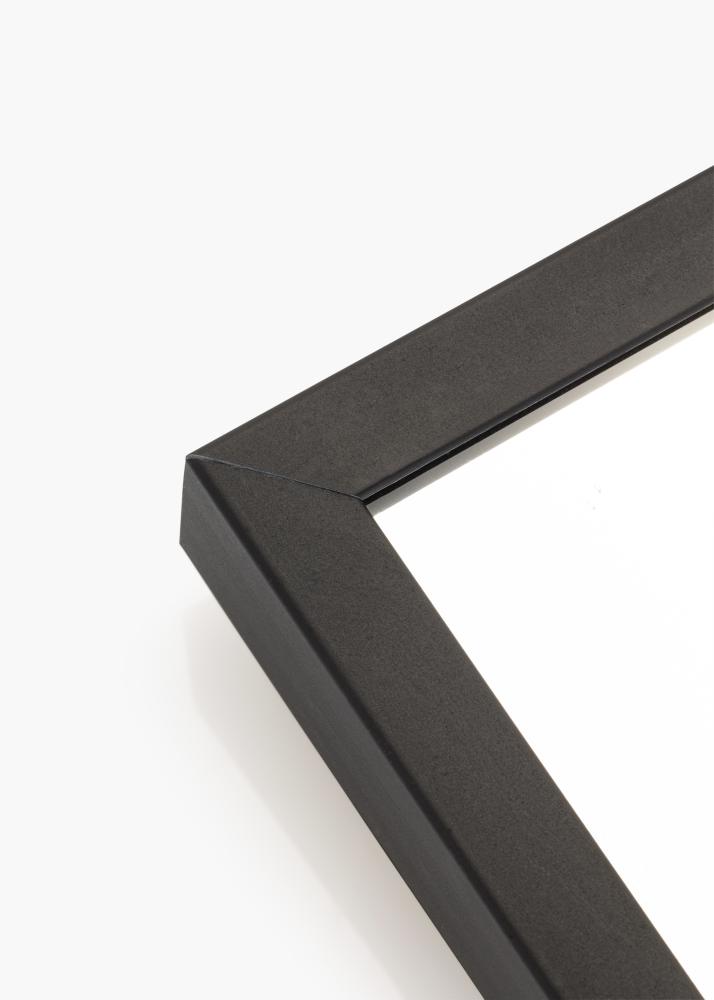 Speil Chicago Matt Svart 71,1x101,1 cm