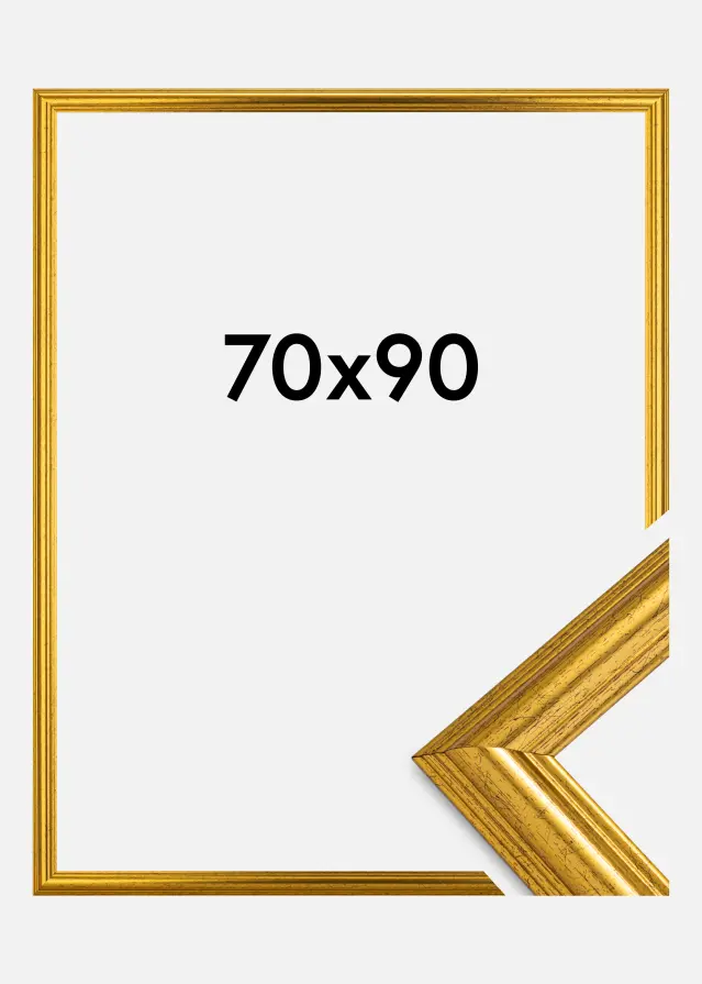 Ramme Västkusten Akrylglass Gull 70x90 cm