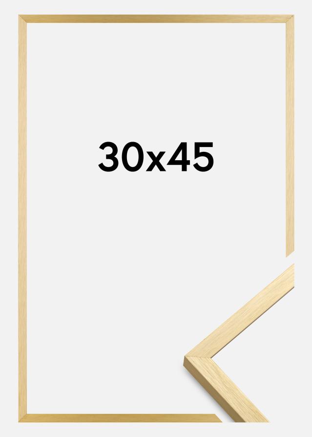 Ramme Chair Gull 30x45 cm